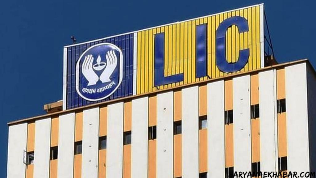 LIC आईपीओ में इस प्रकार करें निवेश, जानिये 3 ऑप्शनस में से कौन सा होगा आपके लिए बेहतर LIC
