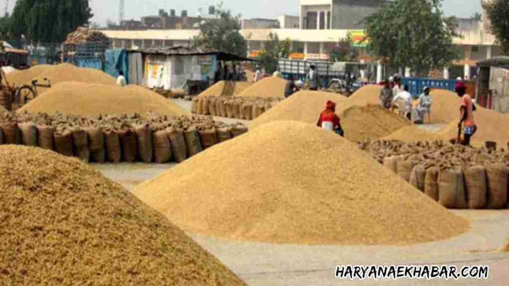 MEP खत्म होने से धान उत्पादक किसानों की बल्ले- बल्ले, 500 रूपए तक बढ़ा भाव; यहां देखें ताजा रेट fotojet 16