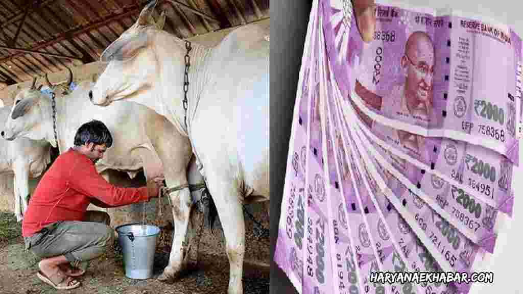 गाय खरीद पर 25 हजार रुपए सब्सिडी देगी हरियाणा सरकार, जानें किन्हें और कैसे मिलेगा लाभ fotojet 8