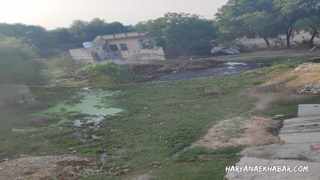 जींद जिले मे तीसरी मंजिल की छत पर चढ़ा सांड, उतारने के लिए बुलानी पड़ी क्रेन BHIWANI
