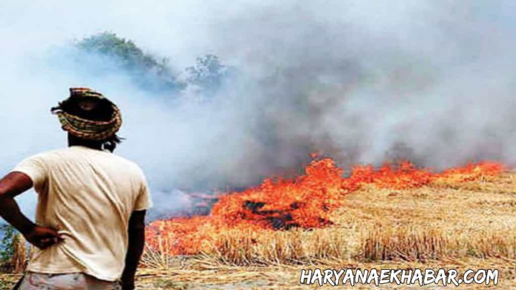 हरियाणा: बरोदा हल्के के कई गांवों में आग ने मचाया तांडव, 300 एकड़ गेहूं की फसल जलकर राख PRALI