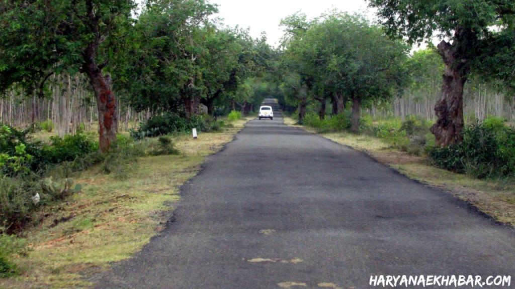 पंचायत विभाग का कारनामा, रोड रोलर की जगह मोटरसाइकिल से बनवाई सड़क Road Making