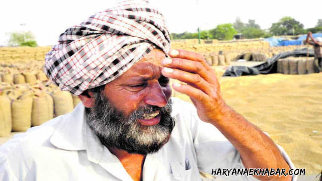 इन जमीदारों को नहीं मिलेगी PM किसान योजना की अगली किस्त, इन 3 गलतियों से रुकेगा पैसा SAD KISAN