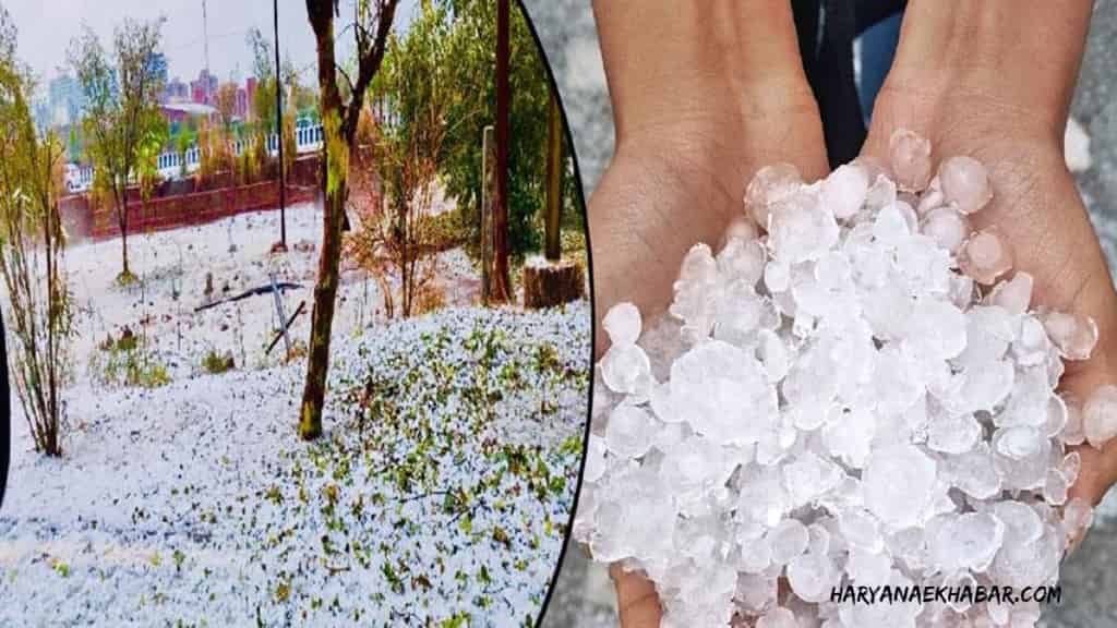 किसानों पर कुदरत का कहर, कई जिलों में जमकर ओलावृष्टि, जानें आज कैसा रहेगा मौसम OLAWRSTHI
