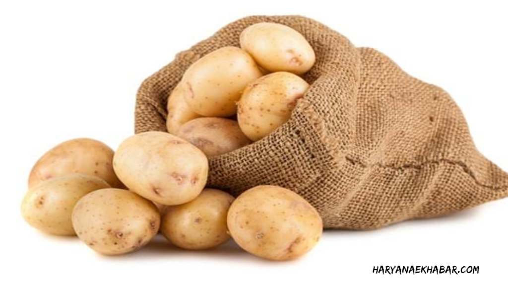 इस प्रकार करें आलू की खेती, पैदावार में होगी 10 गुना से भी ज्यादा वृद्धि AALU