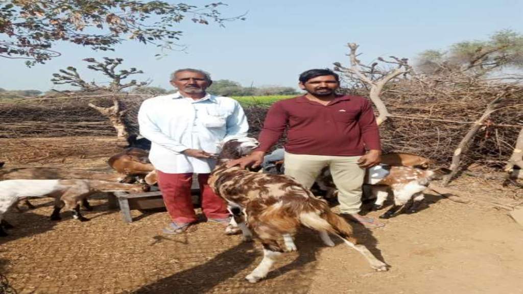 बकरी चराने वाले हरियाणा के संदीप ओलंपिक में करेंगे भारत का प्रतिनिधित्व narnaul sandeep news