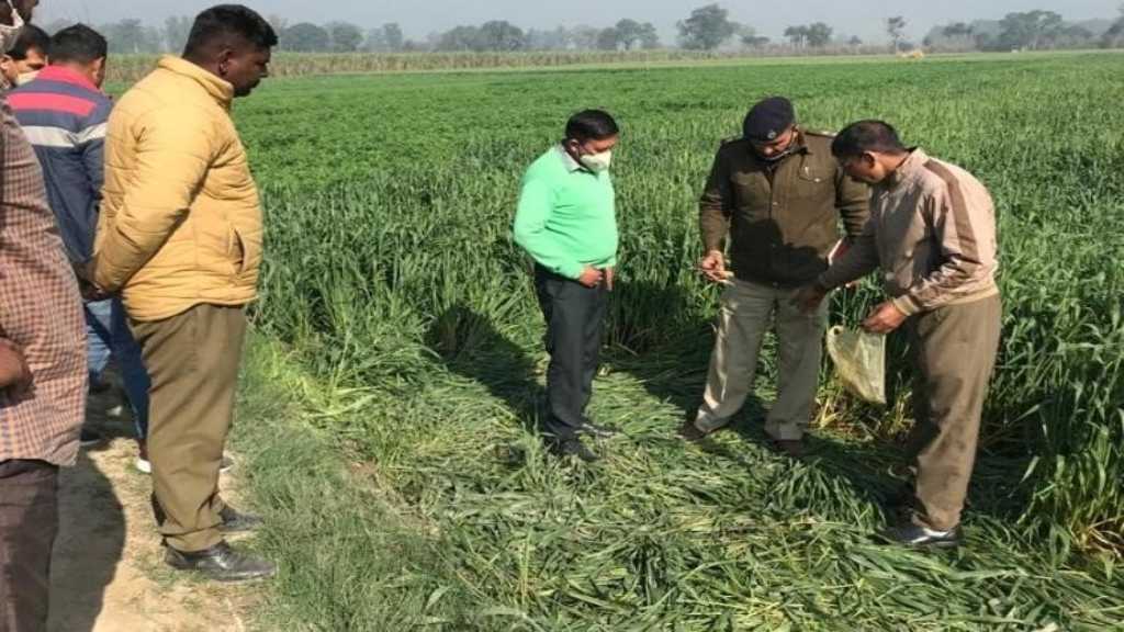 जमानत पर आए युवक को तलवारों से काटा, मामूली विवाद में छिन गया मां का इकलौता सहारा yamunanagar murder