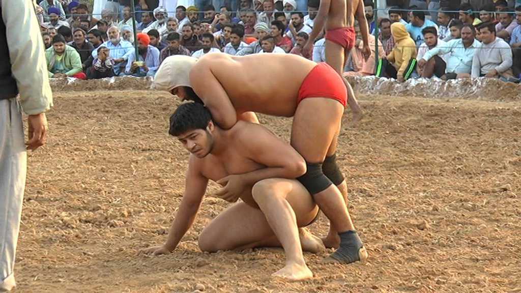 डीघल स्टेडियम में होगा महादंगल, प्रथम आने वाले खिलाड़ी को दिए जाएंगे ₹1 लाख kusti jhajjar