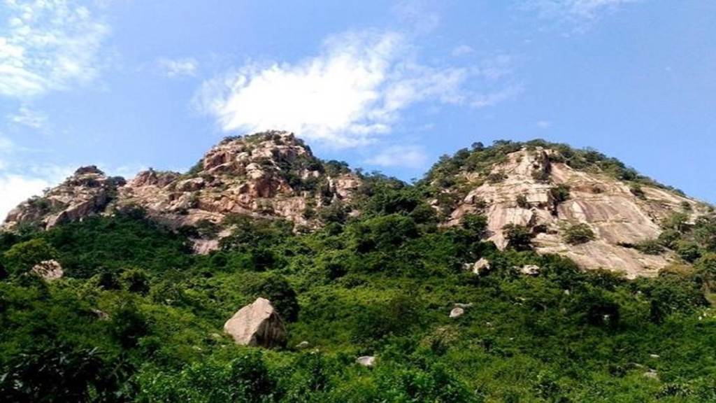 हरियाणा के महेंद्रगढ़ जिले में मिल सकता है यूरेनियम, जल्द आएगी सर्वे रिपोर्ट yureniyam mahendgarh