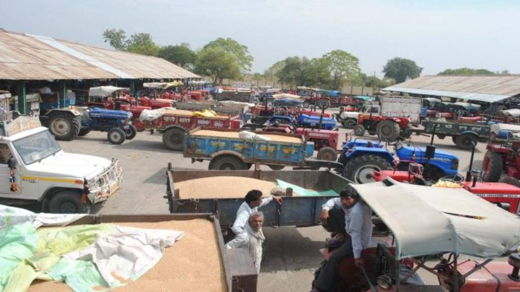 गेहूं के निर्यात पर लगे बैन से मोदी सरकार ने दी कुछ राहत, किया ये ऐलान anaj mandi