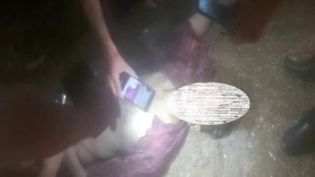 तोड़े हाथ-पैर, तेजधार हथियार से की हत्या, फिर गोलियों से किया छलनी mewat latest news