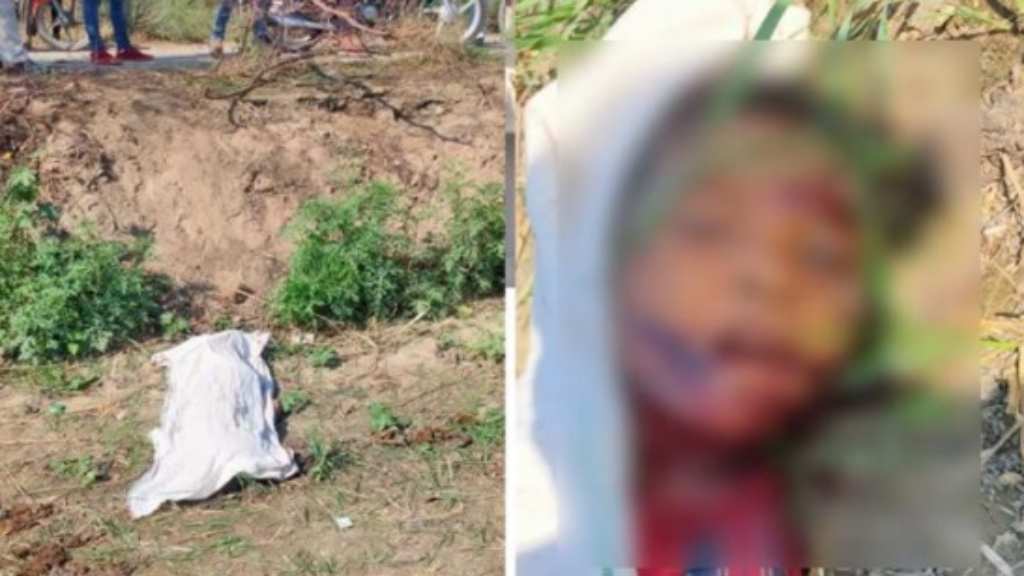 दुखद: पांच साल के बच्चे को आवारा कुत्तों ने नोंचा, मौके पर ही मौत news 4