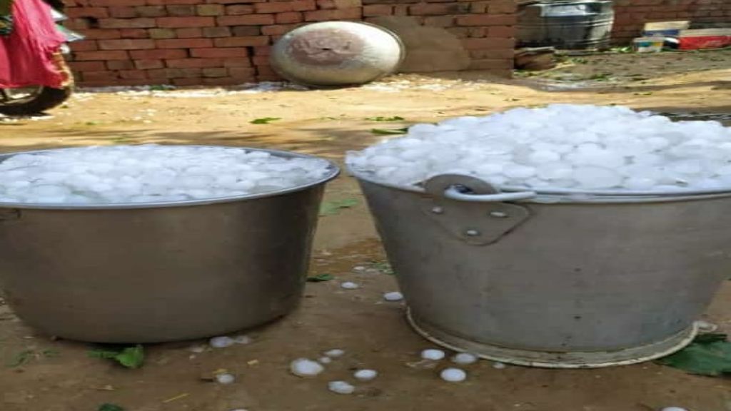 हरियाणा के अटेली में दिखा कुदरत का विकराल रूप, भारी ओलावृष्टि से फसलों को भारी नुकसान olavarsthi