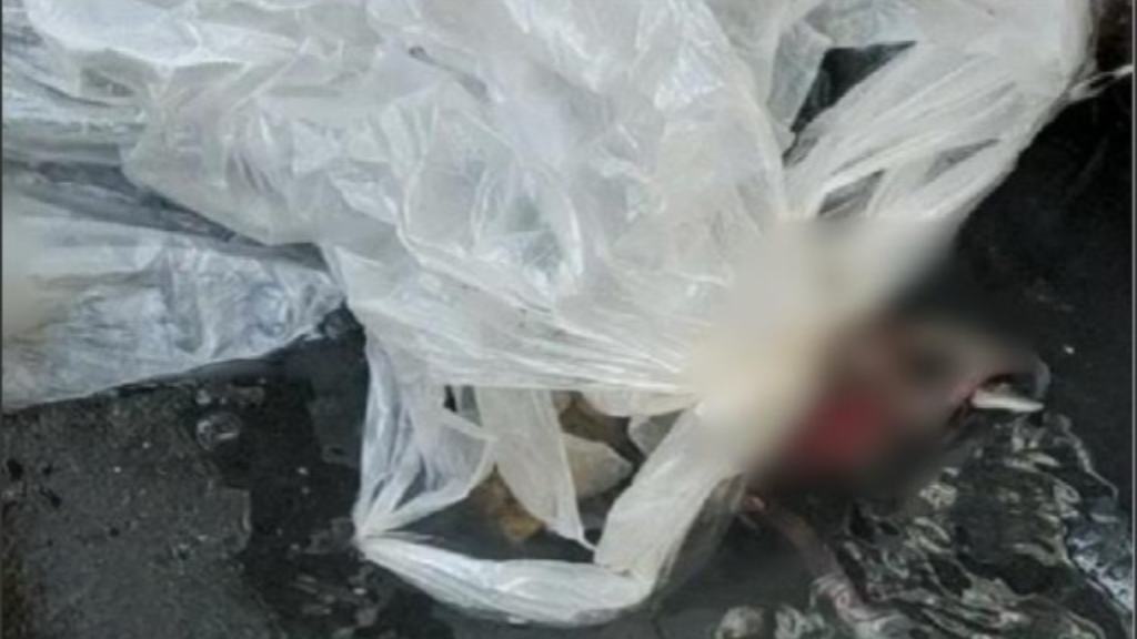 पानीपत: ममता फिर हुईं शर्मशार, नाली में तैरता मिला चार माह का भ्रूण panipat latest news