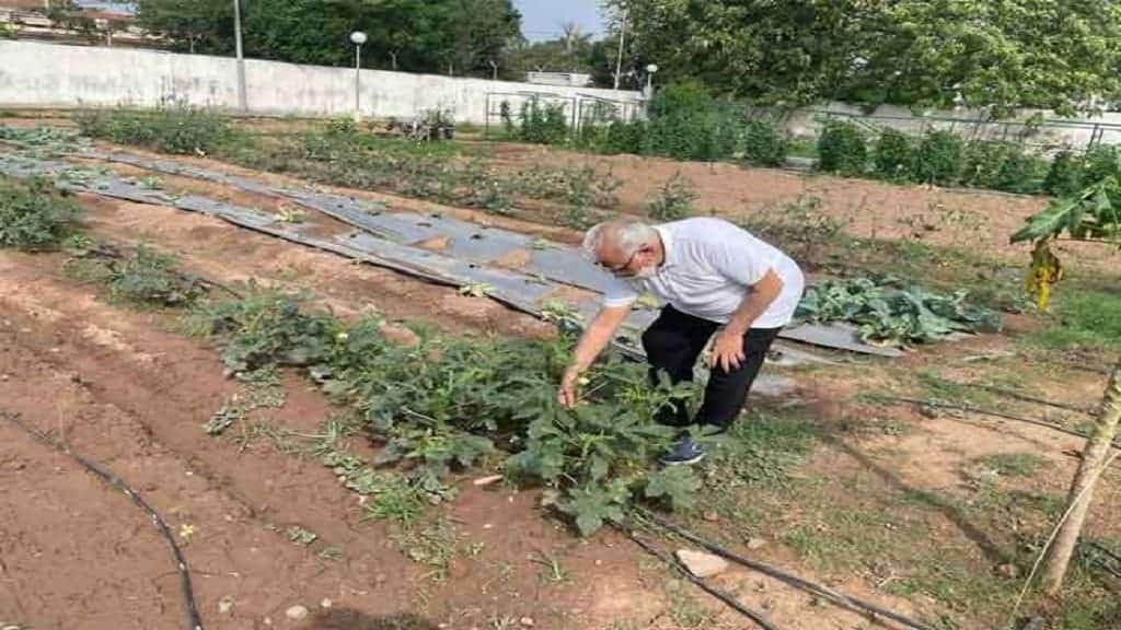 हरियाणा के सीएम खट्टर बोले- अब भी खेती से होती है मेरी सुबह की शुरुआत, पढ़े ख़ास रिपोर्ट ml khattar farming