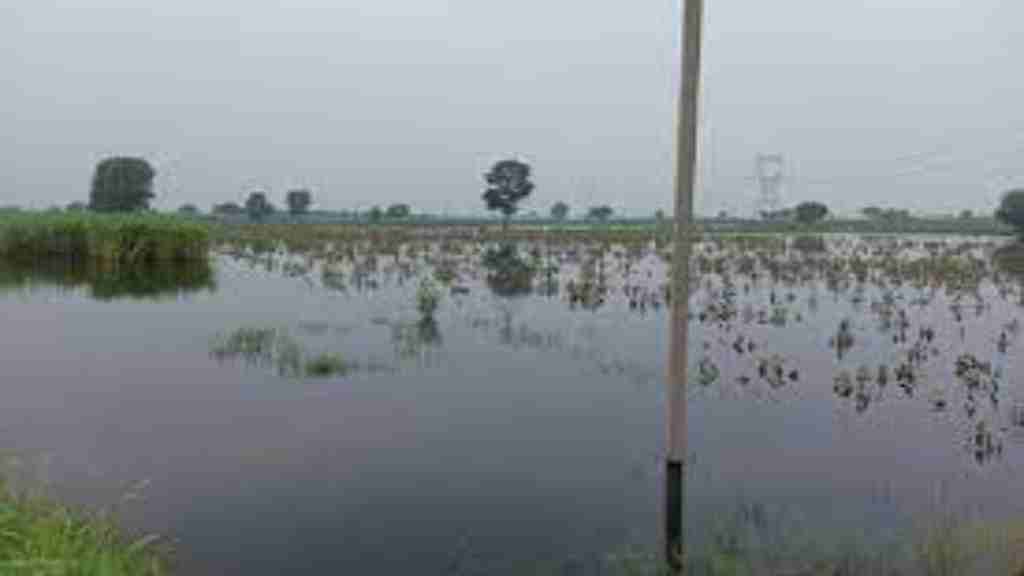 आफत के बादल: बारिश के पानी में डूबा हरियाणा, देखिए गंभीर हालात और जानिए कहां हुई कितनी बारिश DADRI NEWS