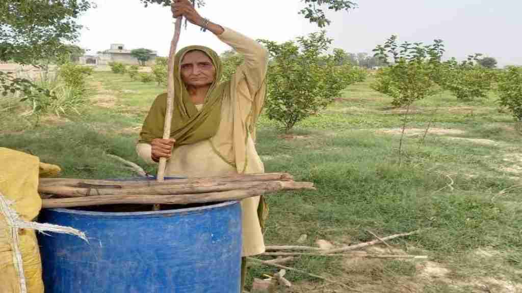 जींद: महिला किसान का गजब हौसला- ऑर्गेनिक खेती के लिए किसानों को कर रही है प्रेरित JIND NEWS 8