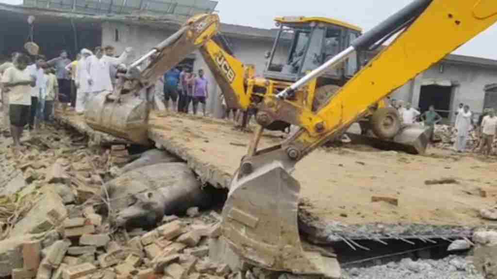 दर्दनाक: बहादुरगढ़ में लेंटर गिरने से 16 पशुओं की दबकर मौत bahdurgarh accident news