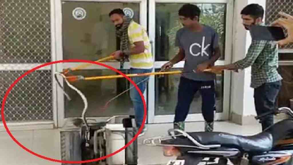 सावधान - टोहाना में AC में छुपा बैठा था 5 फुट लंबा सांप, कड़ी मशक्कत के बाद सांप को पकड़ा गया था tohana news