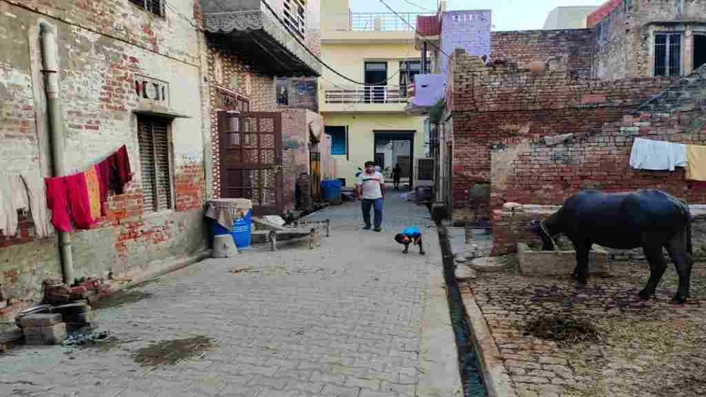 दबंगों और दलितों के बीच बंटा जींद का छातर गांव, जानें क्या है पूरा मामला chatar villege