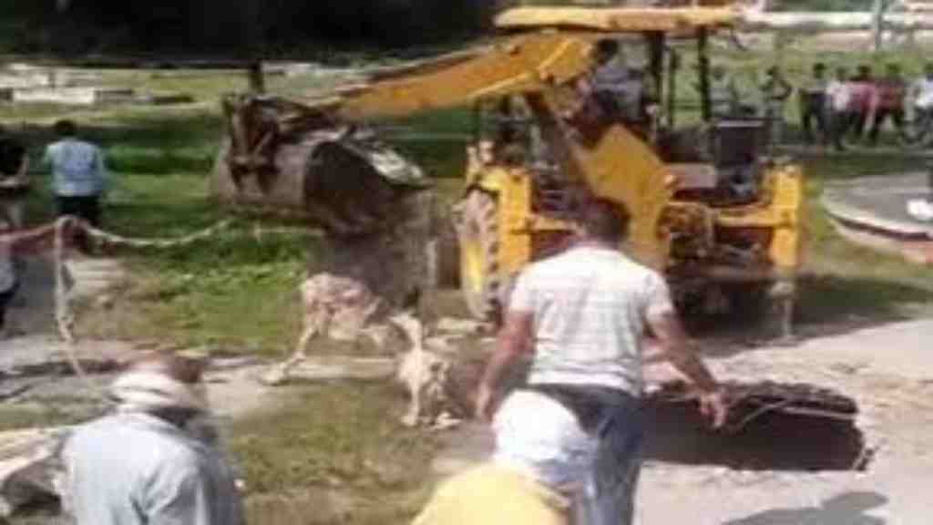 जलघर मृत गाय मामले में जन स्वास्थ्य विभाग का जेई सस्पेंड, 3 आउटसोर्सिंग कर्मचारी भी हटाएं kaithal news