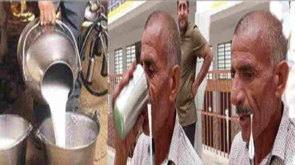 दूध पियो प्रतियोगिता में हरियाणा के ताऊ का कमाल, 5 लीटर दूध पीकर जीती प्रतियोगिता dudh