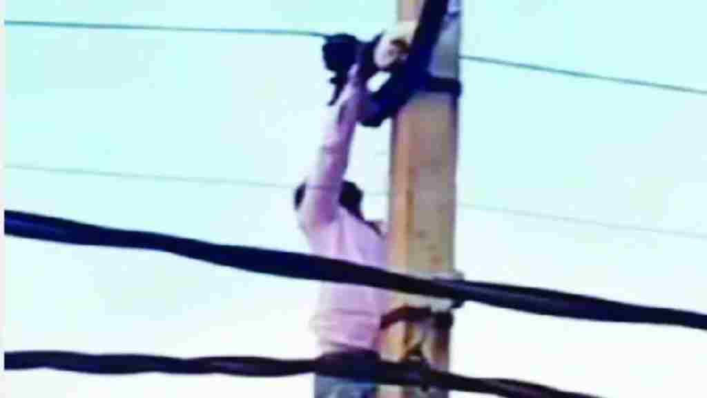 बिल्ली के बच्चे का Rescue Operation, लोगों ने कहा दिल जीत लिया news 12
