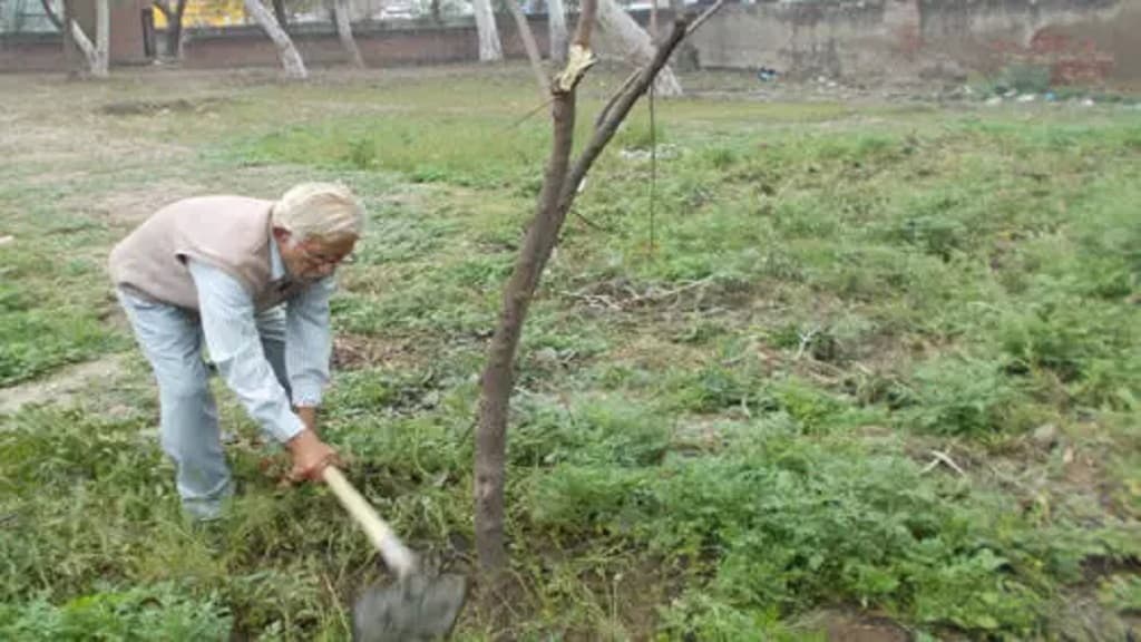 पेड़-पौधों के दादा के नाम से मशहूर है 82 साल का यह बुजुर्ग, महज 12 साल की उम्र में झेला था बंटवारे का दर्द tree man lover bhiwani