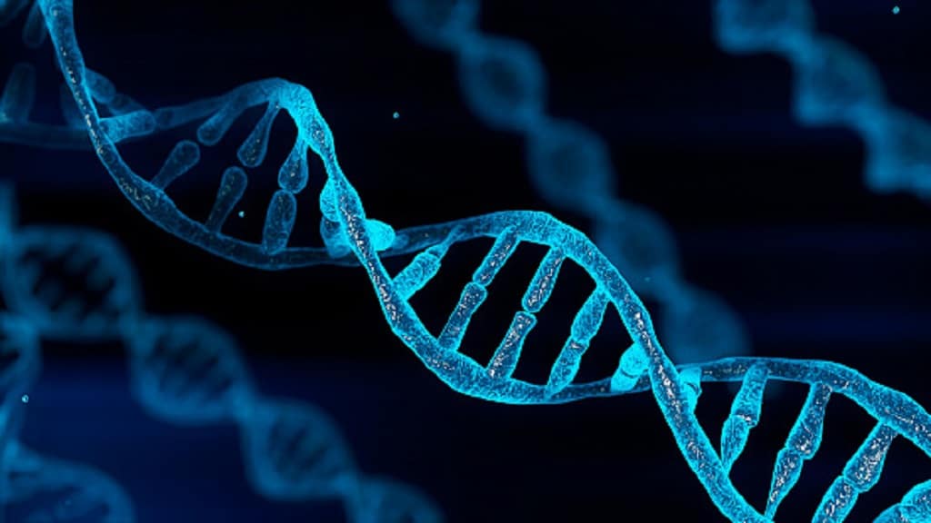 DNA Full Form DNA Full Form
