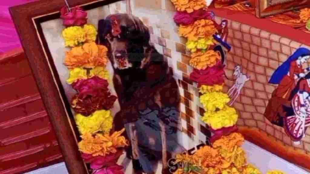 पालतू कुत्ते की मौत पर परिवार वालों ने करवाया हवन और सत्रहवी का भोज news 34