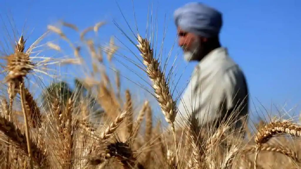 खाद- बीज और दवा बेचने के लिए लाइसेंस की चिंता खत्म, 10वीं पास युवाओं के लिए काम की खबर Fasal Katai Kisan