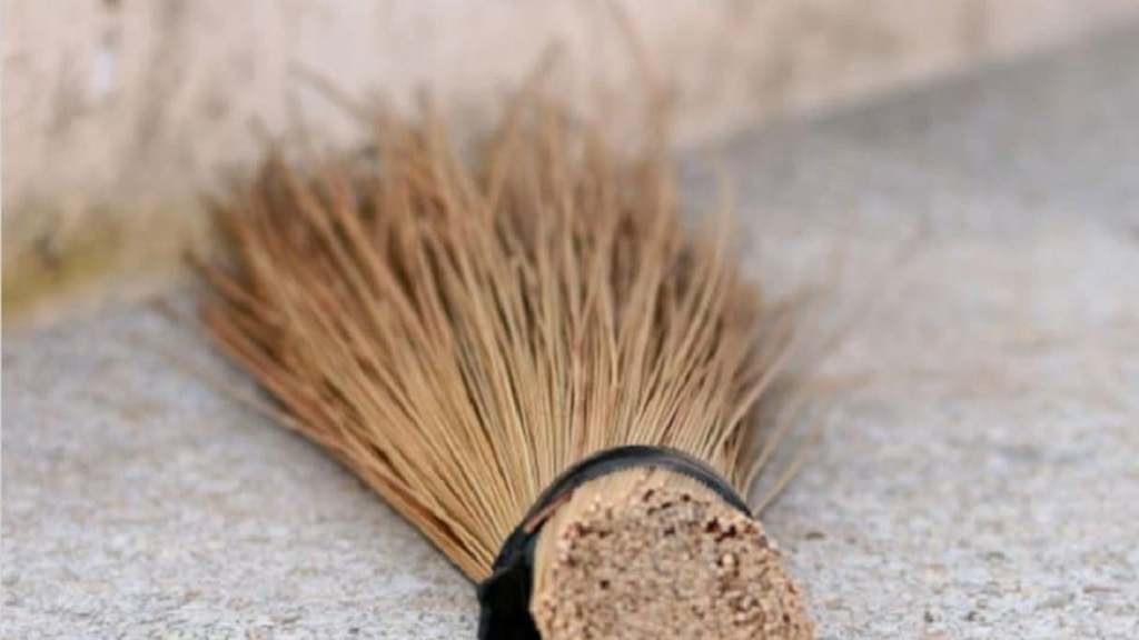 Vastu Tips: क्या है झाड़ू से जुड़े हुए जरूरी नियम, धन की देवी मां लक्ष्मी भी हो जाती है प्रसन्न Broom Jhadu