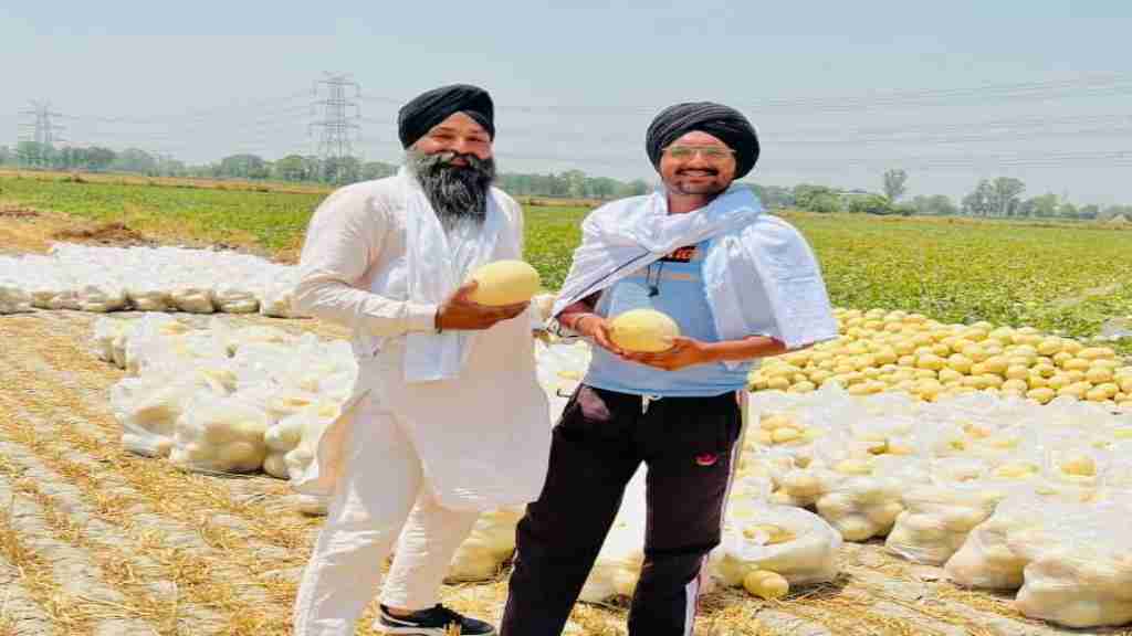 किसान खरबूजे की खेती कर ऐसे हो सकते हैं मालामाल, जानिए तरीका water mallon