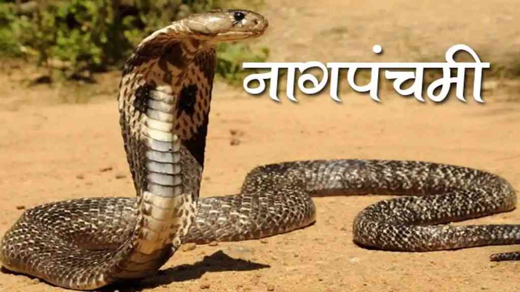 Nag Panchami 2022: अबकी बार नाग पंचमी पर बन रहा है यह खास योग, इस मुहूर्त पर करें पूजा Nag Panchami