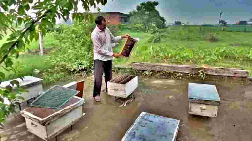 हरियाणा के किसान का कमाल: 5500 रुपए से शुरु किया था काम, अब सालाना 2 करोड़ का टर्नओवर Subhash Kamboj