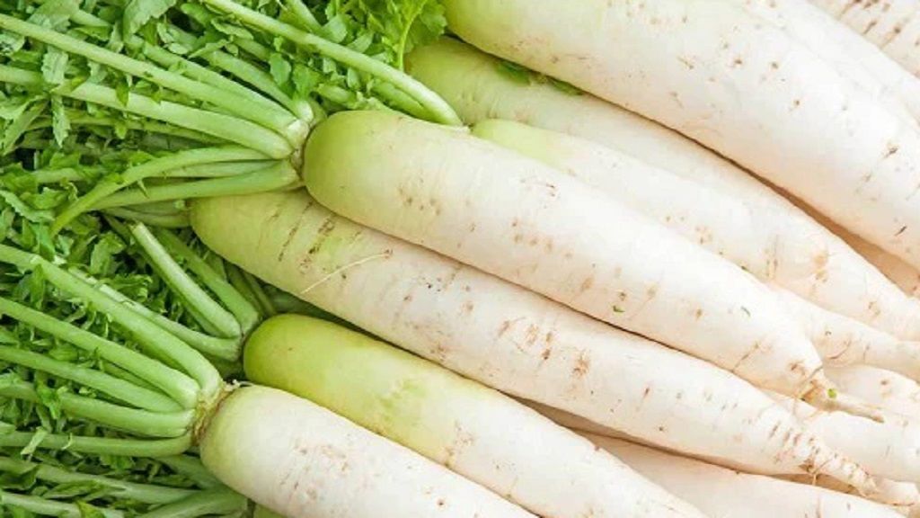 मूली खाने से दूर होती है यह परेशानियां, जाने खाने का सही समय Radish Mooli
