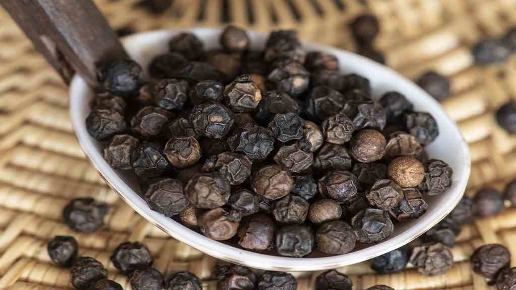Black Pepper: सर्दियों के मौसम में काली मिर्च को बना लें डाइट का हिस्सा, नहीं होंगे बीमार Black Pepper Kali Mirchi