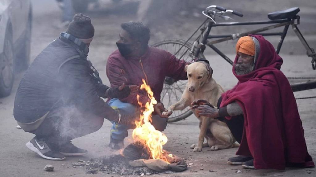 Haryana Weather Update: हरियाणा समेत उत्तर भारत में सर्दी का कहर जारी, टूटेगा पिछला रिकार्ड Sardi Mausam Weather