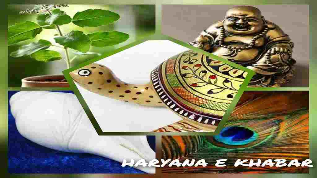 Vastu Tips: नए साल से पहले ही घर लाए यह 5 चीजें, जीवन में बनी रहेगी सुख और समृद्धि Vastu Tips