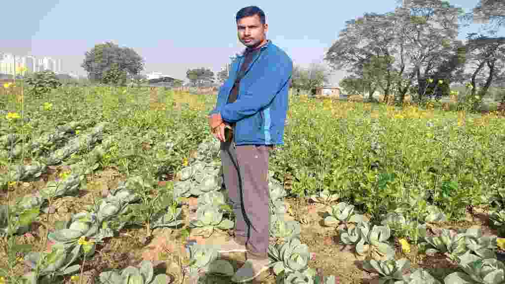 हरियाणा के किसान का कमाल, 40 एकड़ में जैविक खेती कर कमा रहा लाखों का मुनाफ़ा Yashpal Khola Dharuhera