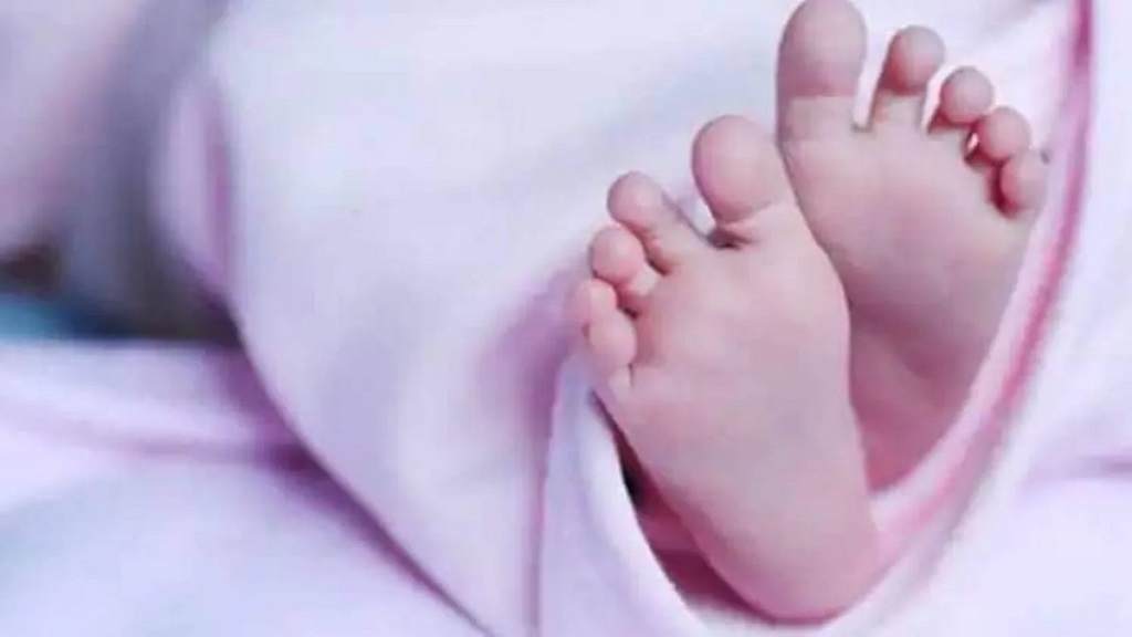 झज्जर में नवजात बच्ची को झाड़ियों में फेंका, अब पुलिस ने अज्ञात मां के खिलाफ किया मामला दर्ज baby baccha child