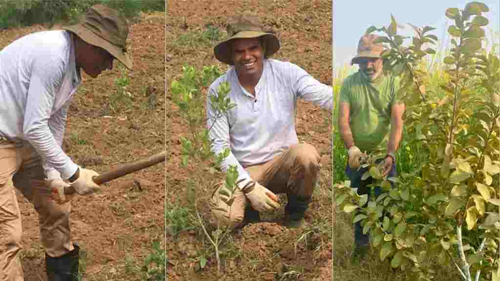 3 साल पहले अमेरिका से लौटे इंजीनियर धर्मवीर ने शुरू की आर्गेनिक खेती, अब अच्छी कमाई की उम्मीद dhramveer organic farmin rewari