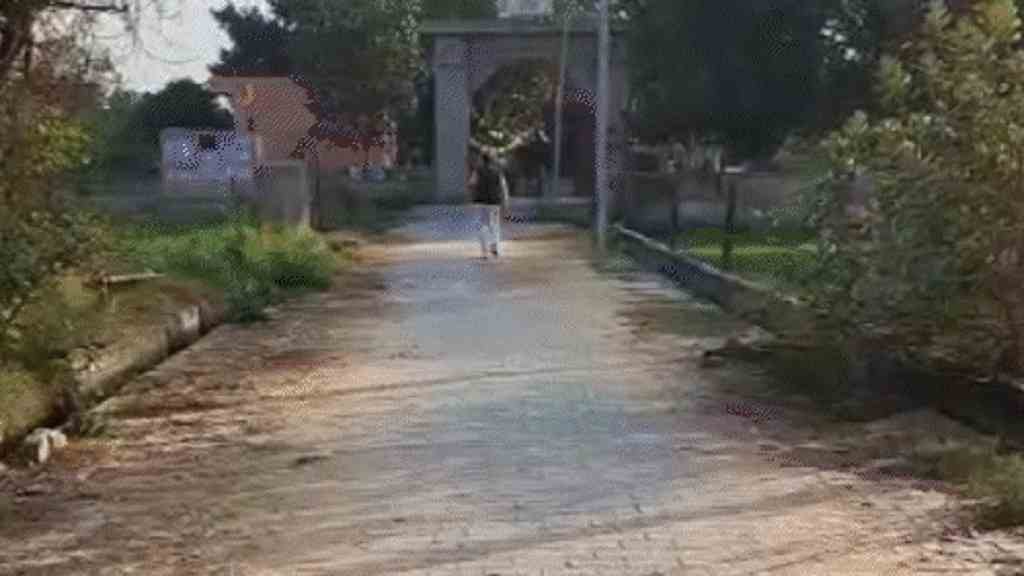 हरियाणा के इन दो गांवों की बड़ी अनोखी कहानी: पहले एक साथ पढ़ी- खेली बेटियां, फिर एक- दूसरे के गांव की बनी बहूएं rewari