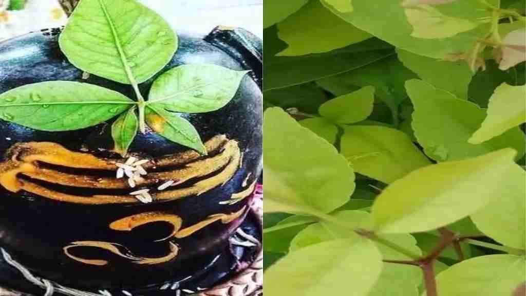 आज सावन का अंतिम सोमवार, भगवान भोलेनाथ को प्रसन्न करने के लिए करें ये जरूरी उपाय Belpatra Shiv