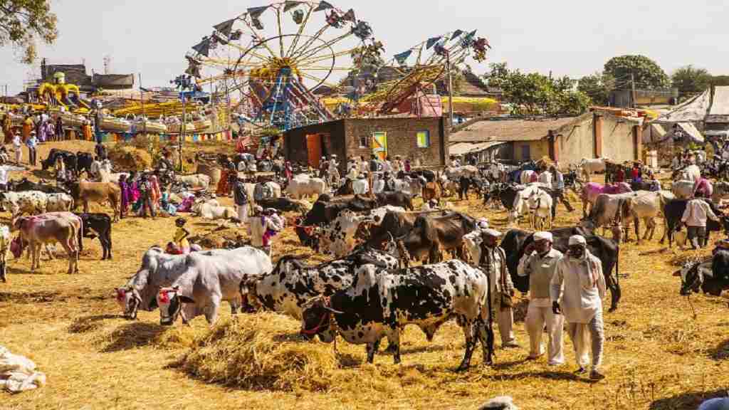 हरियाणा के इस जिले में लगेगा राज्यस्तरीय पशु मेला, 11 से 13 मार्च तक होगा आयोजन Pashu Mela Animal Fair