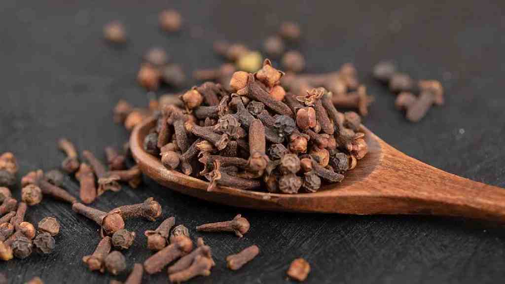 Health Tips: सुबह खाली पेट लौंग खाने के फायदे कर देंगे हैरान, फिर नहीं होंगी ये बड़ी बीमारियां clove benefits long