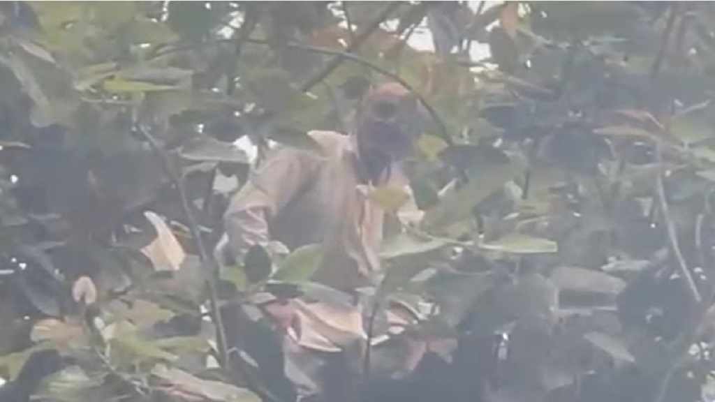 50 साल के बुजुर्ग का बरगद के पेड़ पर हाईवोल्टेज ड्रामा, हैरान रह गए लोग Hisar Buzurg