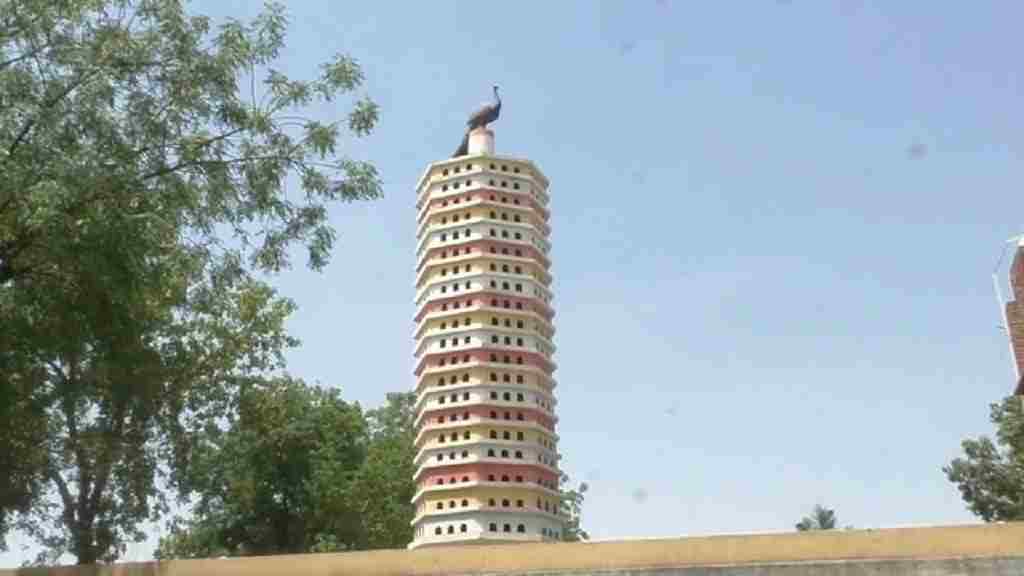 सिरसा में पक्षियों के लिए नई कवायद शुरू: बनवाया 21 मंजिला घर, जल्द बनेगा अस्पताल Birds House Sirsa