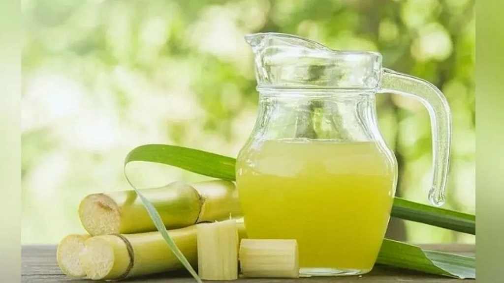 रोहतक में भारत भूषण पिलाते हैं ऑर्गेनिक गन्ने का जूस, टेस्ट एकदम स्वादिष्ट; यहाँ देखे लोकेशन Sugarcane Juice Ganne Ka Ras