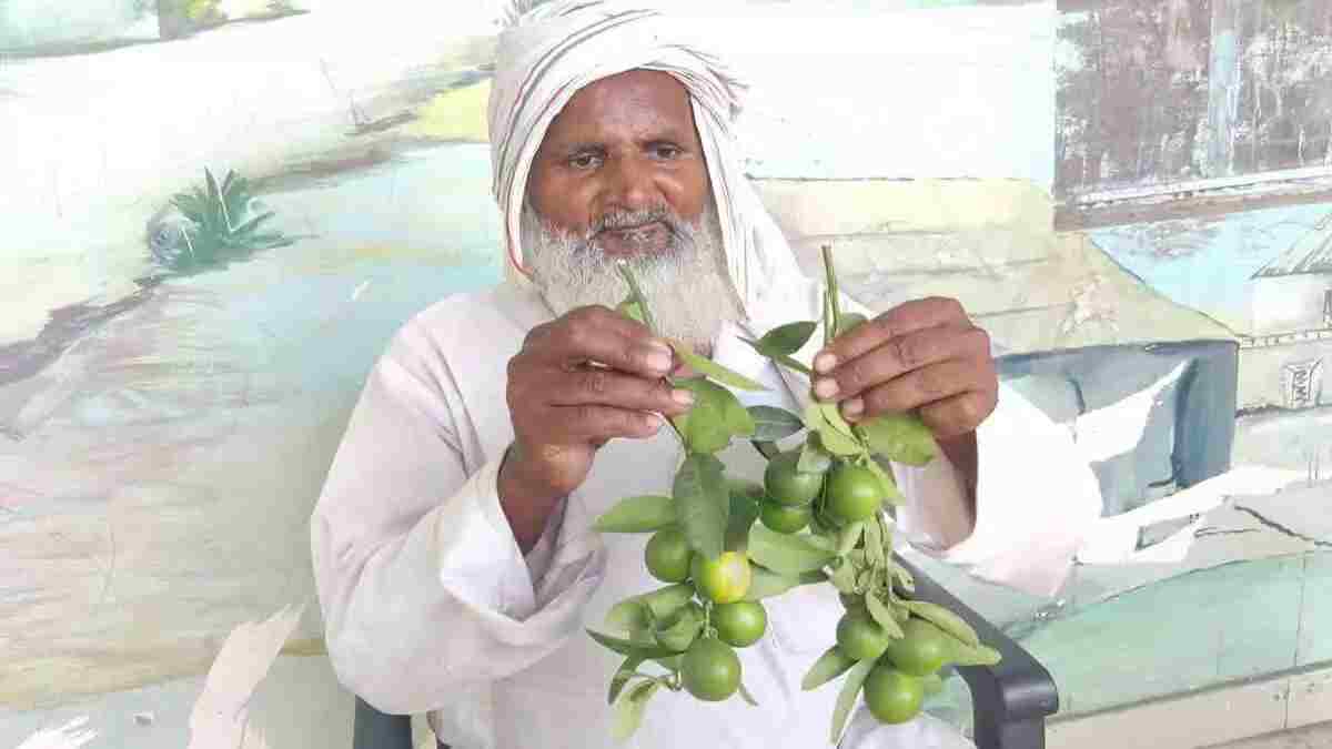 नूंह का ट्रक डाइवर नाजम बना किसान, अब बागवानी खेती कर पेश की मिसाल; पढ़े सक्सेस स्टोरी Najam Khan Kisan Nuh